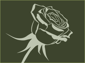 Obrázek růže Olga