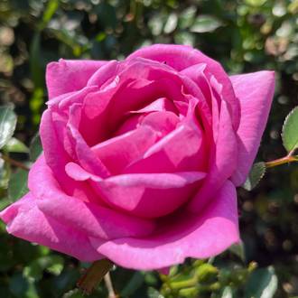 Ilustrační foto Eminence