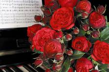 Obrázek růže Piano®