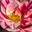 Ikona obrázku 1