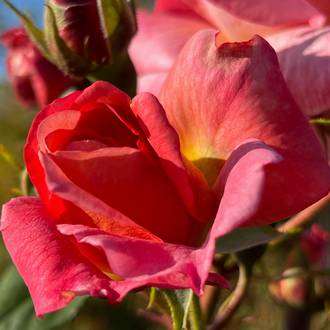 Ilustrační foto Anna